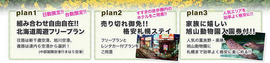 売り切れ御免 夏の格安北海道 北海道スペシャル 夏休み特集 北海道旅行行くなら格安ツアー満載の楽たび