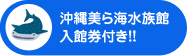 沖縄美ら海水族館入館券付き