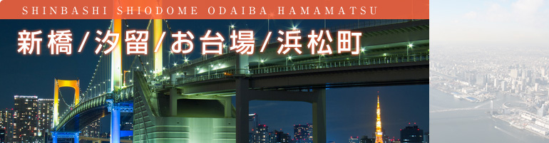 新橋 汐留 お台場 浜松町 東京旅行へ行くなら格安ツアー情報が満載の楽たび